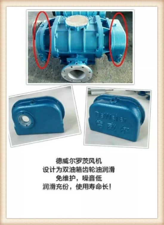 不銹鋼羅茨風機設計為雙油箱 不銹鋼羅茨風機設計為雙油箱